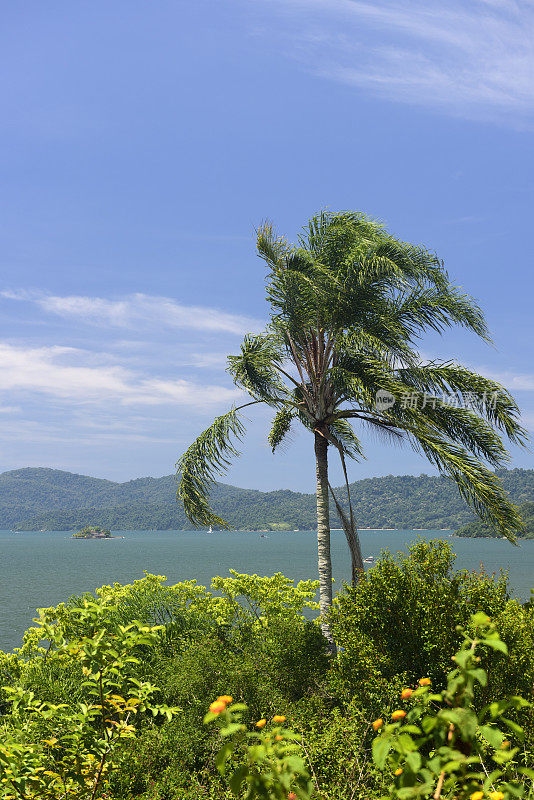 Paraty Bay -巴西